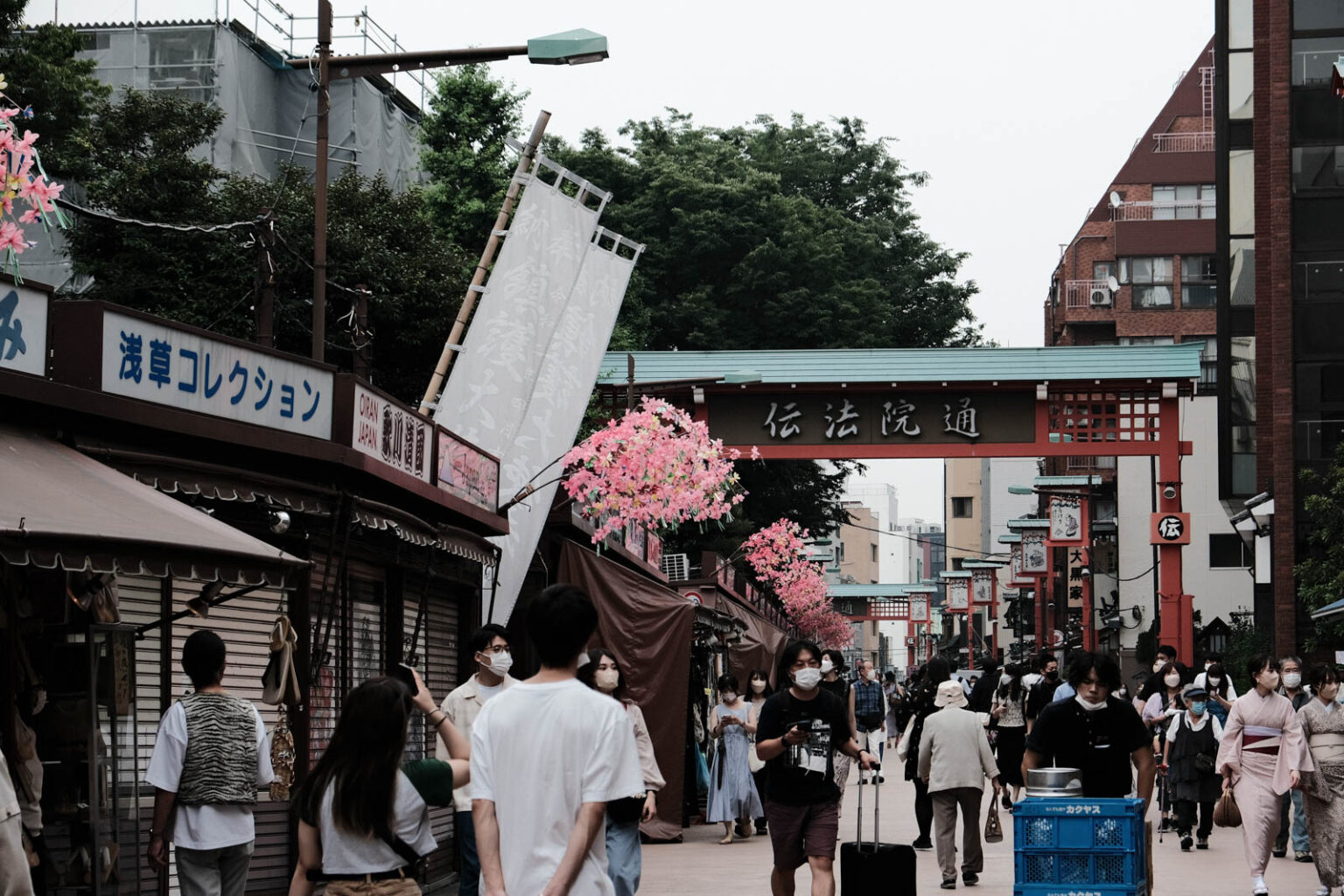 東京 下町 見どころ | 谷中&根津ガイド/東京の観光公式サイトGO TOKYO – GTWD